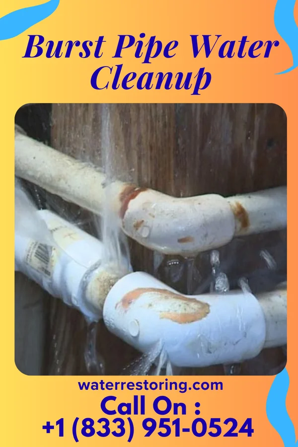 Burst Pipe Water Cleanup in Coffeeville, MS