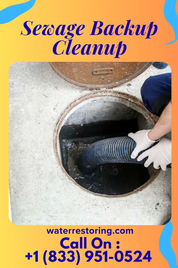 Sewage Backup Cleanup in Coffeeville, MS